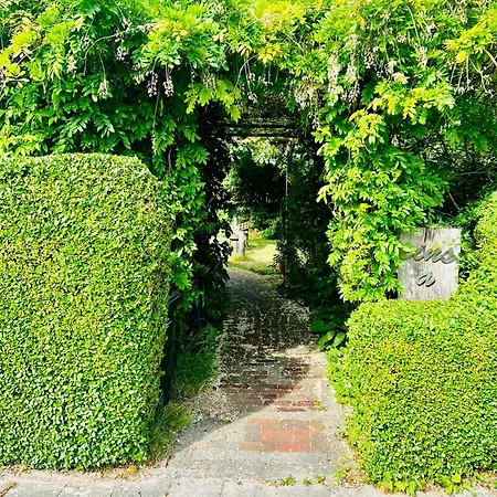 Inselhaus Im Gruenen Σπίτι διακοπών *